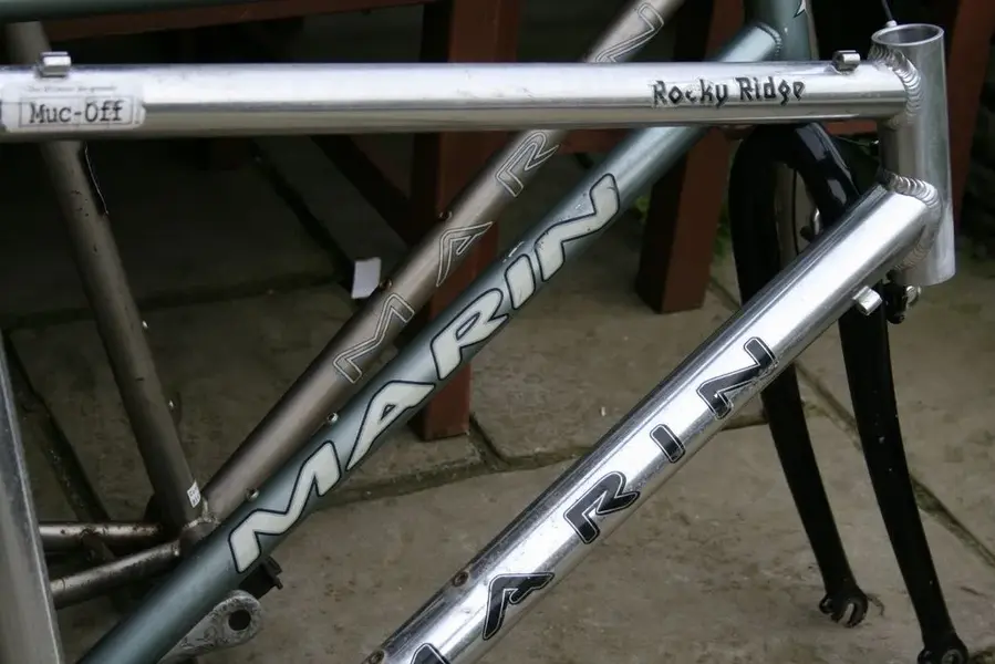 marin frame3.webp