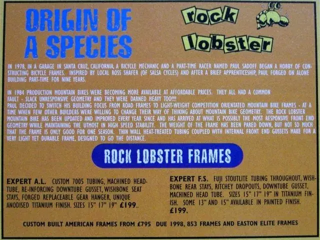 RockLobster-Advert-MBR.webp