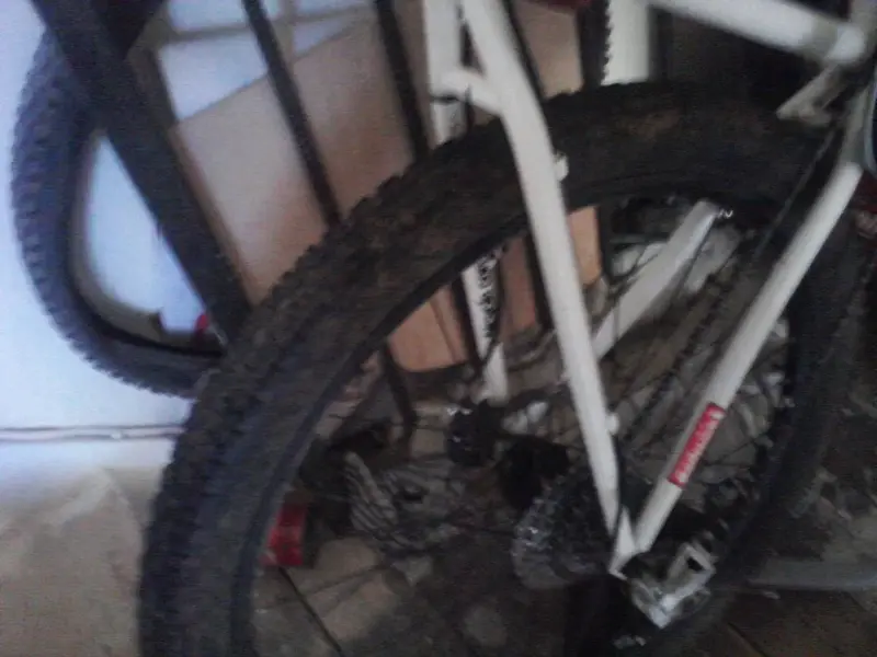 P15-04-13_18-57.webp