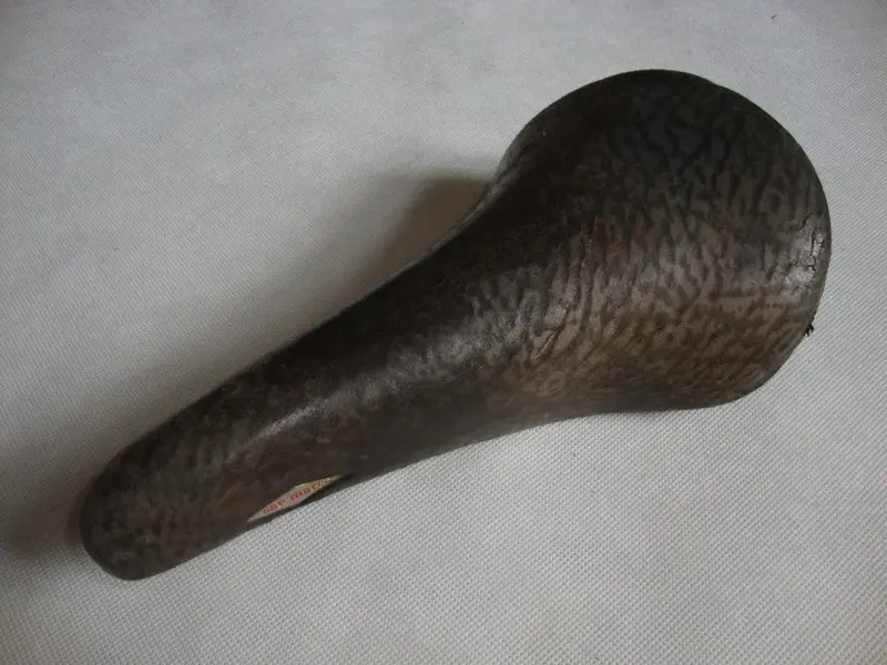 DSC08334.webp