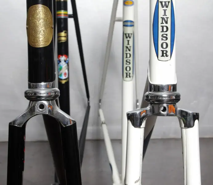 cinelli vs Windsor 3 web.webp