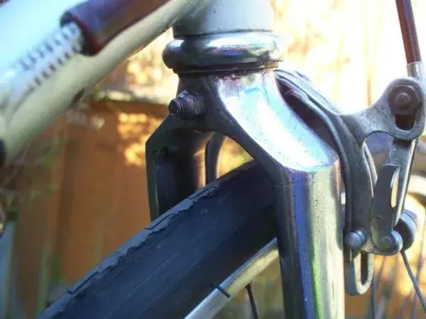 HOLDS FORK CROWN.webp