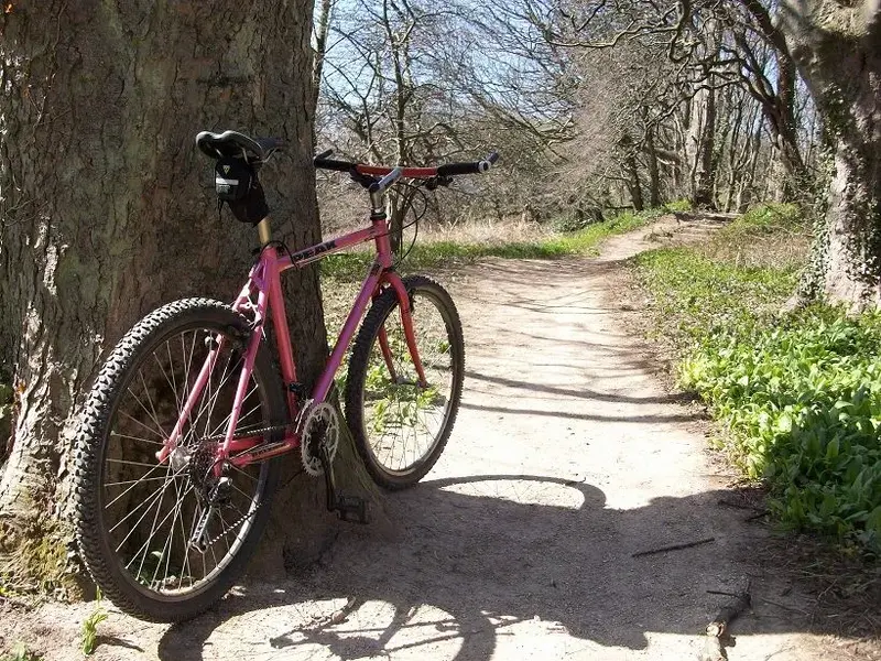 Peak maiden voyage 009.webp