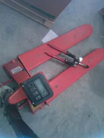 WP_000931.webp