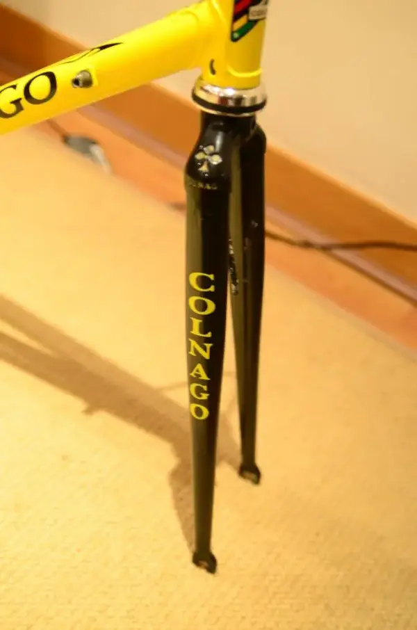 Colnago Front Forks (Precisa.webp