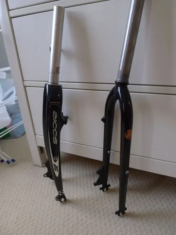 disc_forks 003.webp