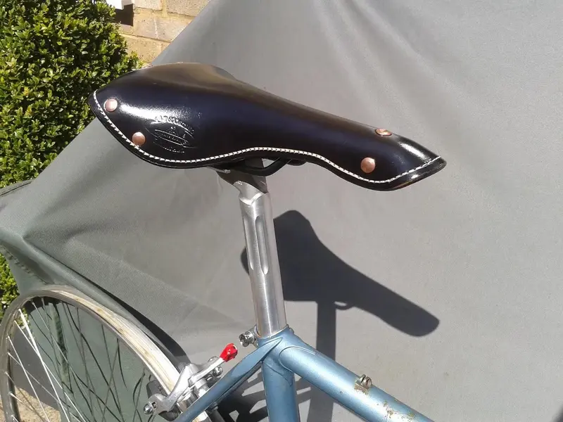 saddle.webp