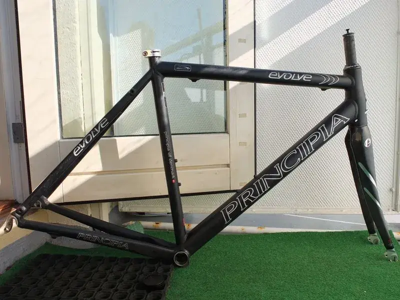 Principia Evolve 55 (5).webp