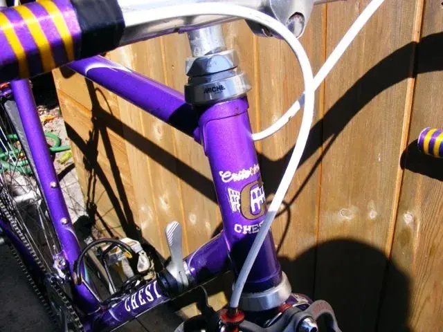 Puple chesini2.webp
