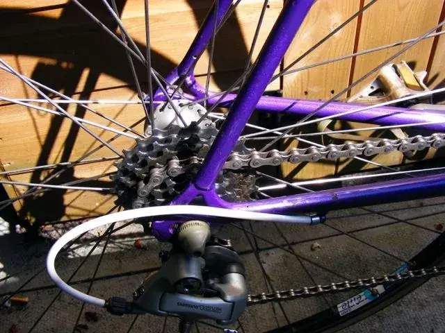 Puple chesini4.webp