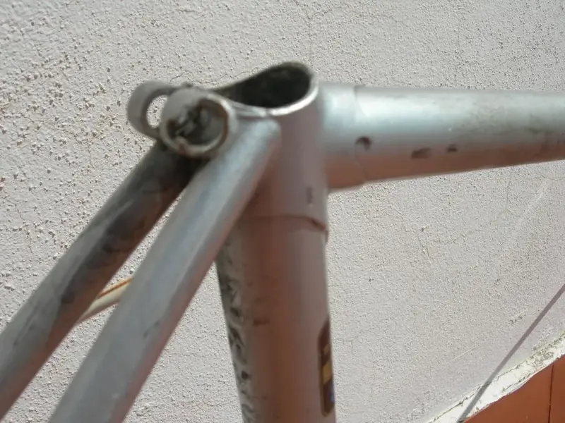 DSCN9973.webp