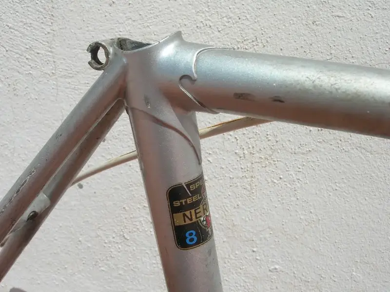 DSCN9972.webp