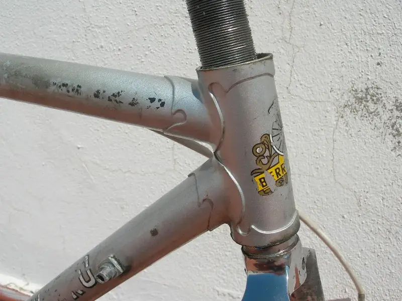 DSCN9970.webp