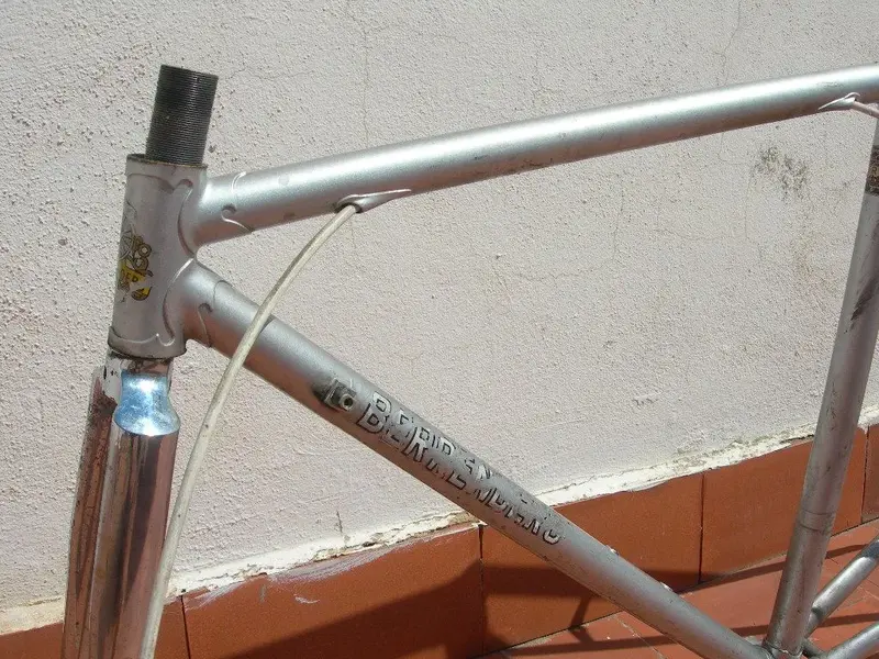 DSCN9977.webp