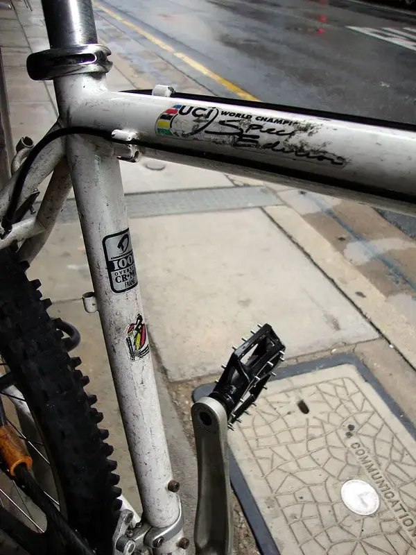 diamondback_uci_cairns.webp