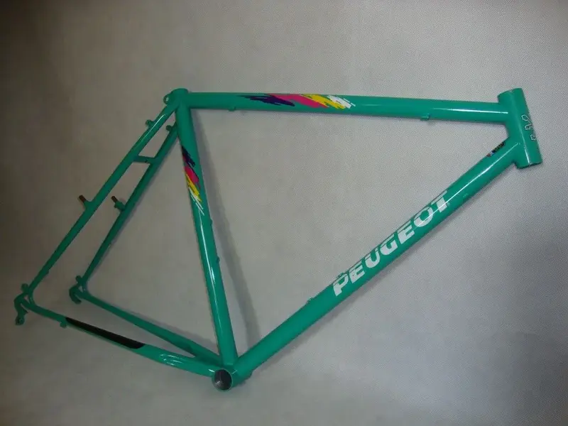 DSC09148.webp