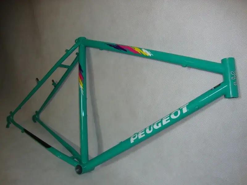 DSC09151.webp
