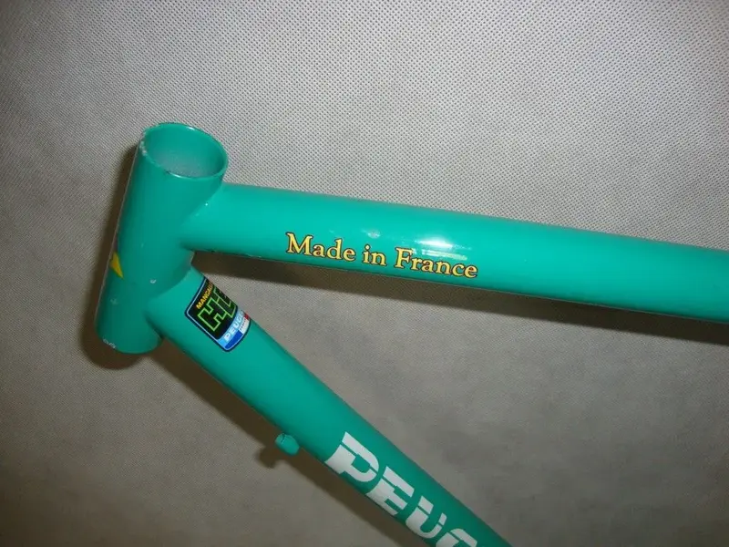 DSC09156.webp
