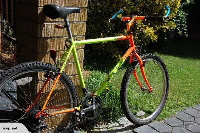 1990 Muirwoods OrangeYellow.webp