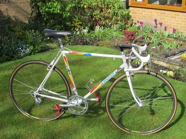 Raleigh Castorama 1.webp