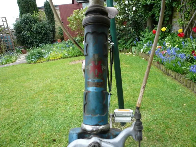 Mum's bike 3.webp