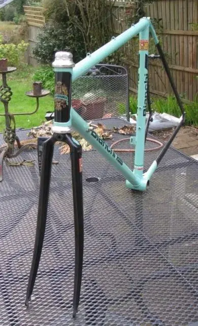Bianchib.webp