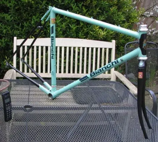 Bianchie.webp