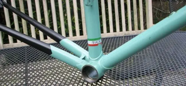 Bianchii.webp