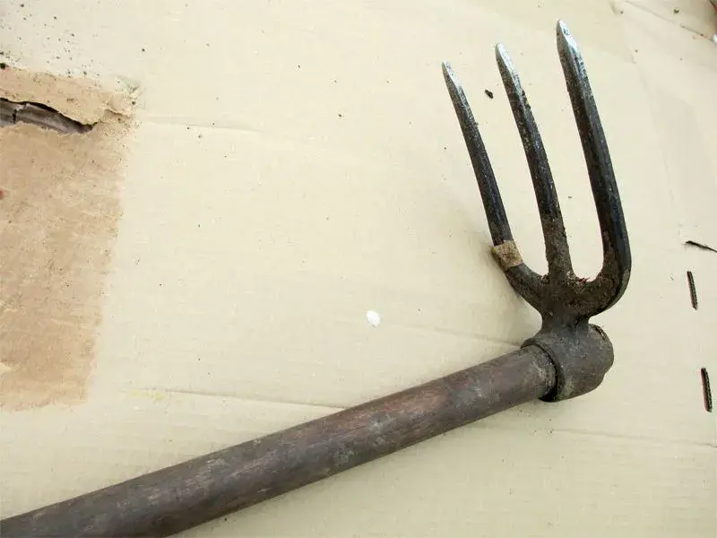 trusty-3-prong-tiller.webp