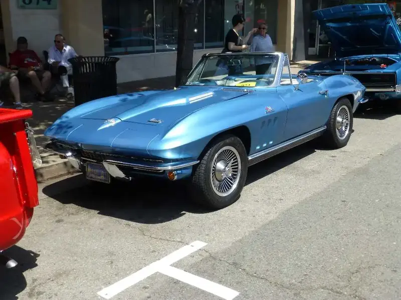 66 Stingray.webp