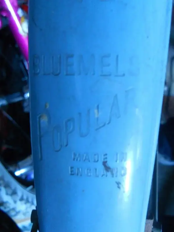 DSCN1949.webp