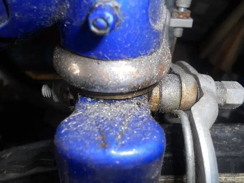 DSCN1953.webp