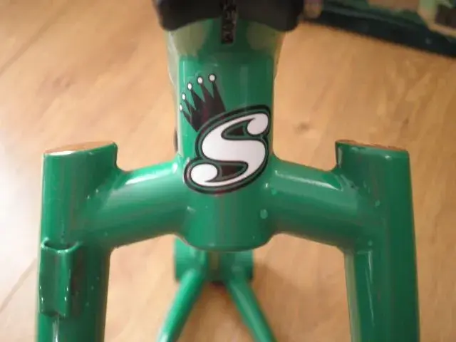 Close ups of Sycip 107.webp