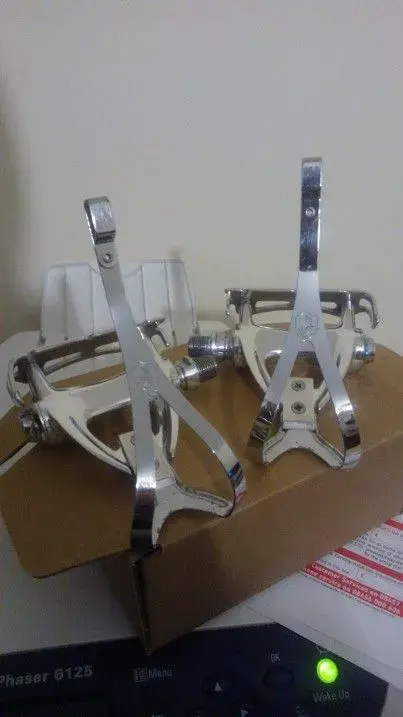 WP_001009.webp