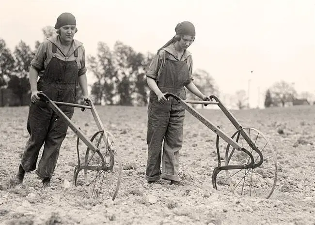 Hand-Plow.webp