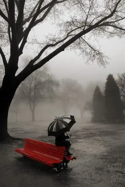 rainy-day.webp