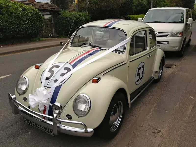 herbie2.webp