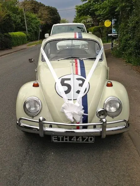 herbie3.webp