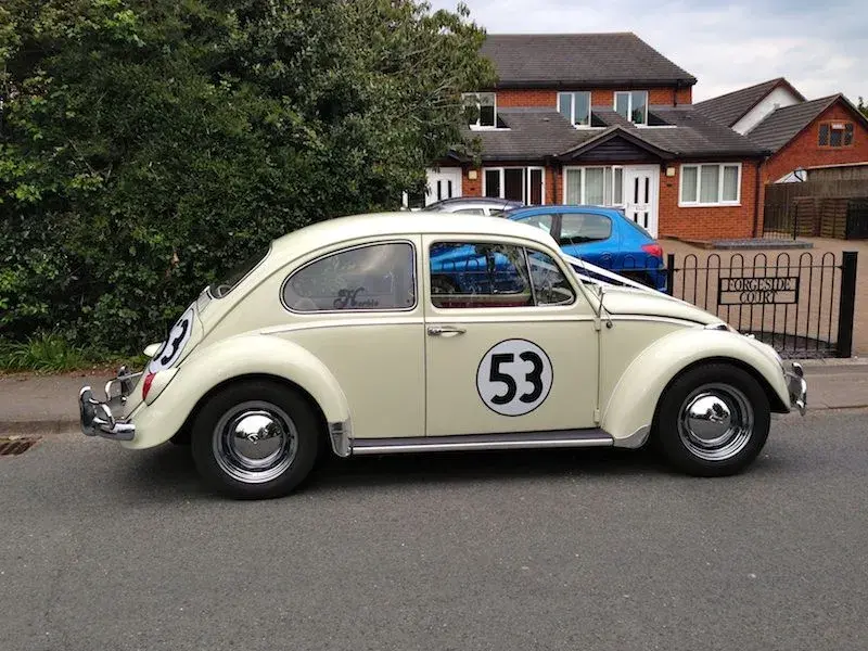 herbie4.webp