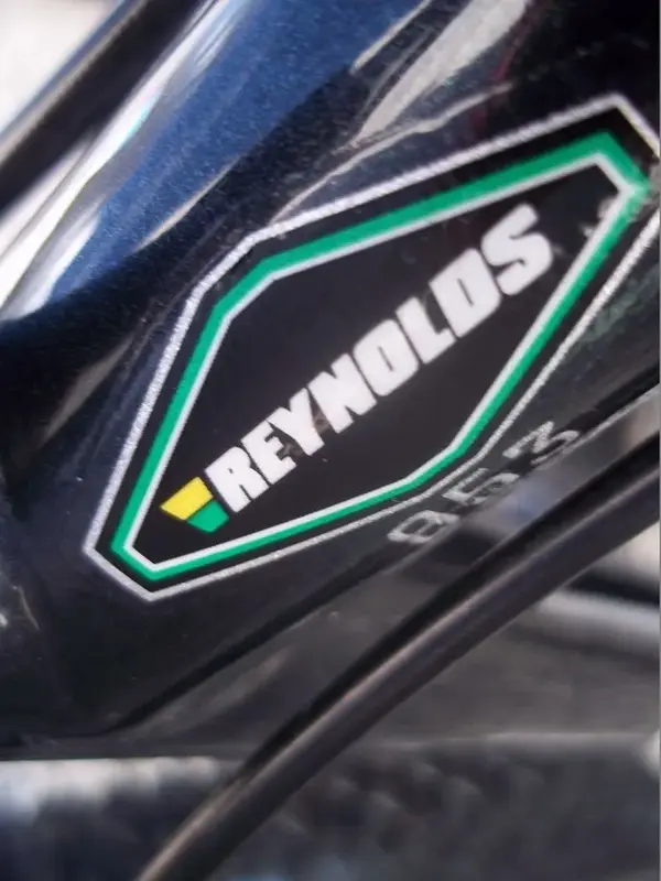 THERE CAN BE ONLY ONE REYNOLDS NEEDED..webp