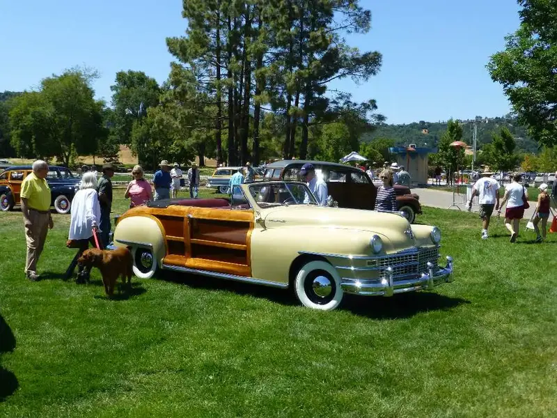 Woody Convertible.webp