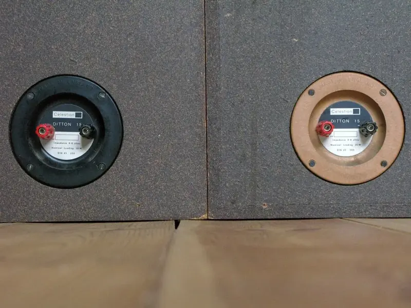 Celestion Ditton 15 Rear RB.webp