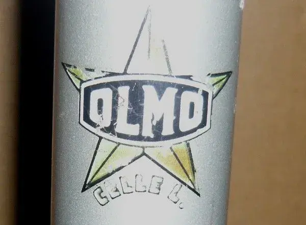 olmo5.webp