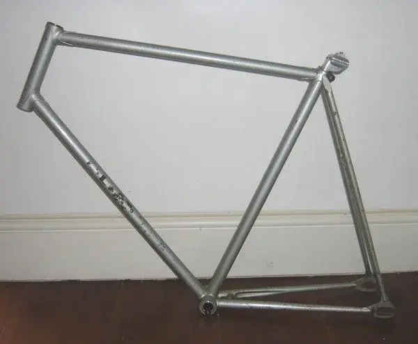 olmo6.webp