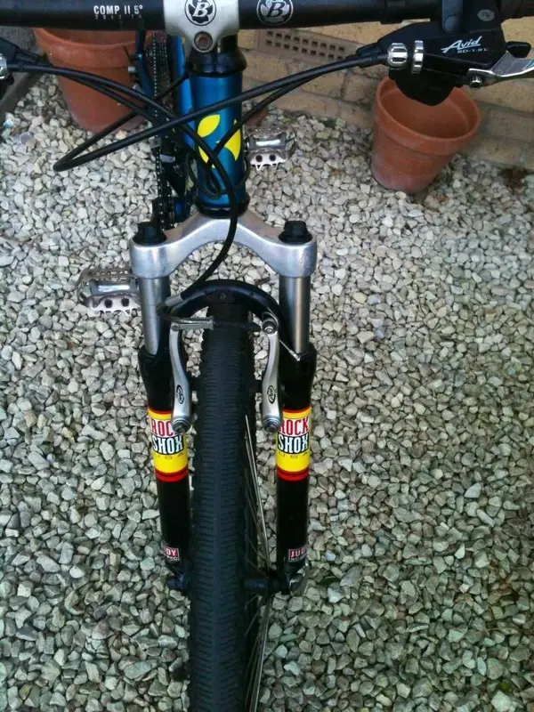 image.webp
