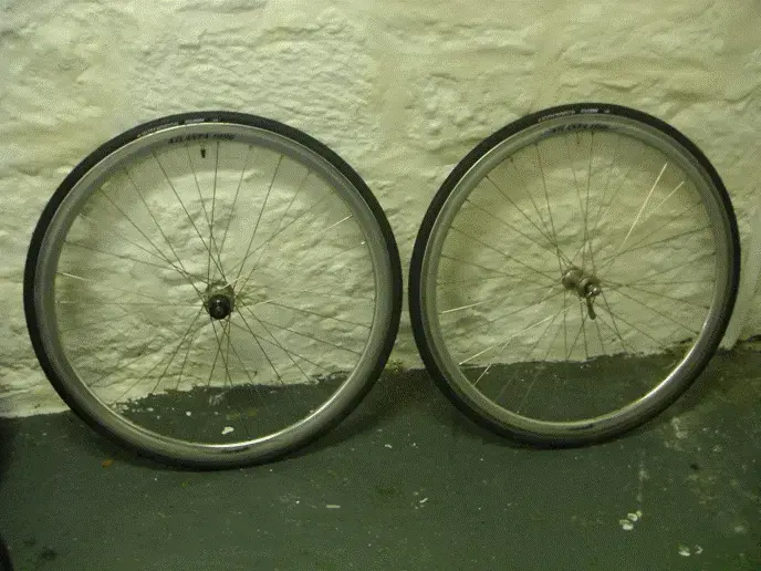 mini campag.webp