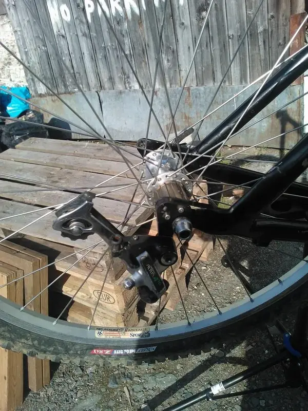 WP_000684.webp