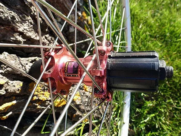 pulstar-rear-hub.webp