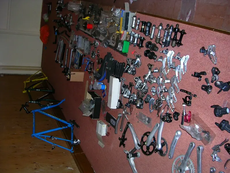 DSCN5561.webp