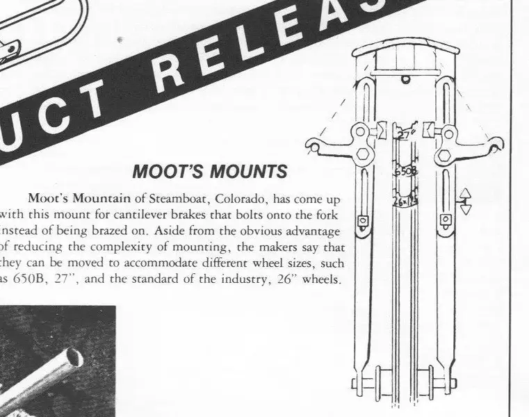383MootsMount.webp